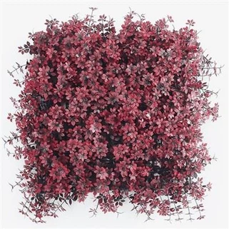 Pflaume Blüte Form Kunstrasen Wand